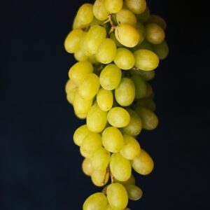 GRAPES, WHITE/GREEN, LG/XL