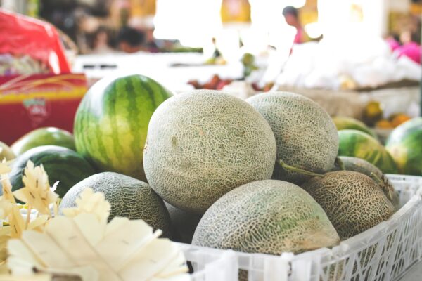 CANTALOUPES