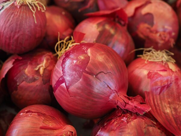 ONIONS, RED, 	BULK